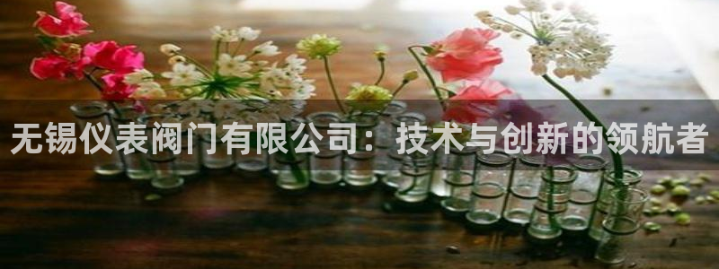 新宝gg怎样