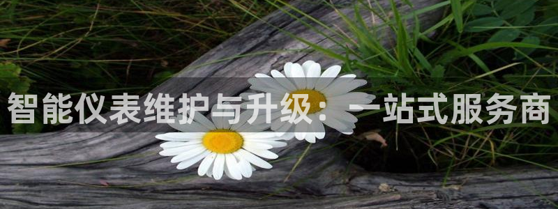 新宝gg测速登录