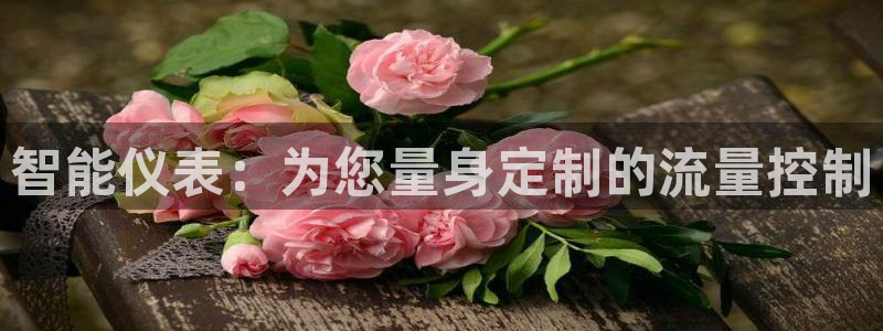 关于新宝GG