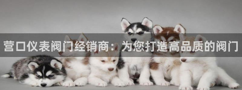 新宝gg联系