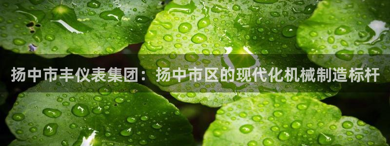 新宝gg直属上级