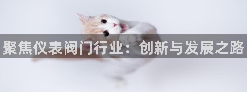 新宝gg如何做到总代理