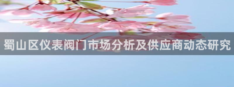 新宝gg招商致胜团队
