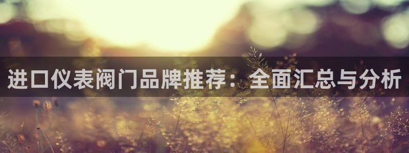 新宝gg平台开户
