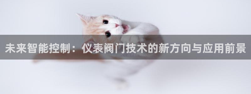 新宝gg计划