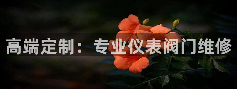 新宝gg注册首页