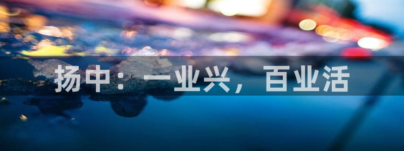 新宝gg挣钱
