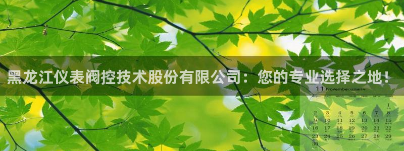 新宝.gg