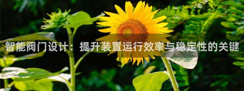 新宝gg靠谱吗