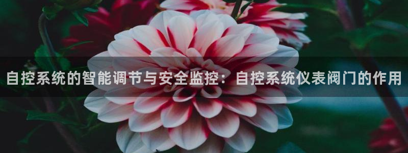 新宝gg网赚