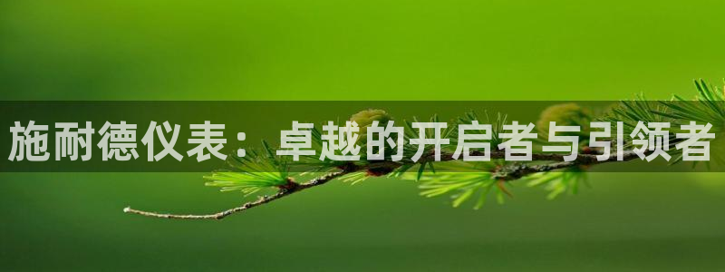 新宝gg辅助