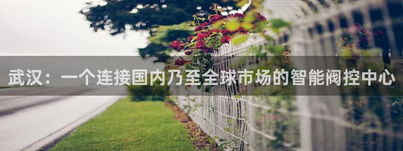 新宝皇冠gg
