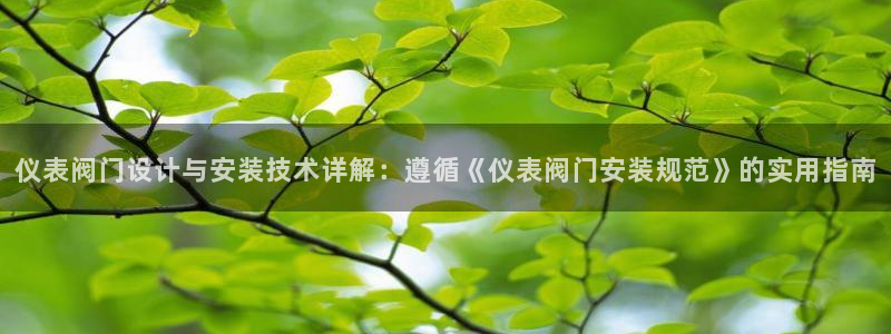 新宝gg 金苹果