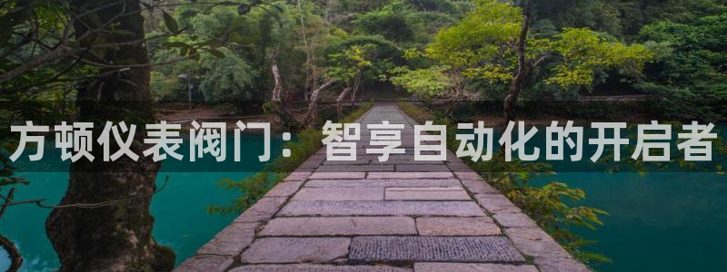 新宝gg有假吗