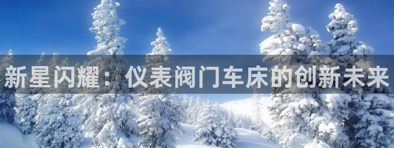 新宝gg主管、