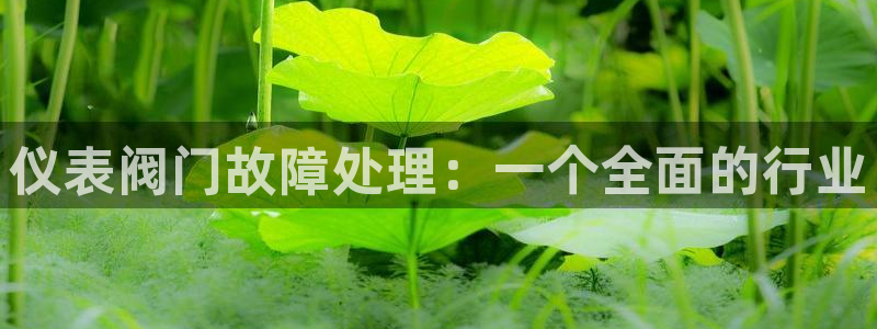太阳gg和新宝gg