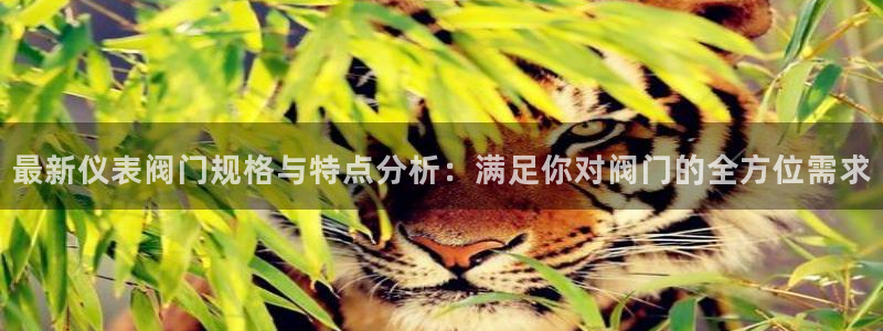 新宝gg主管开