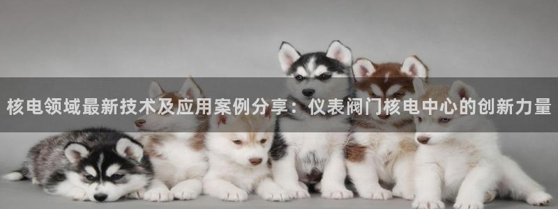 新宝gg赚钱