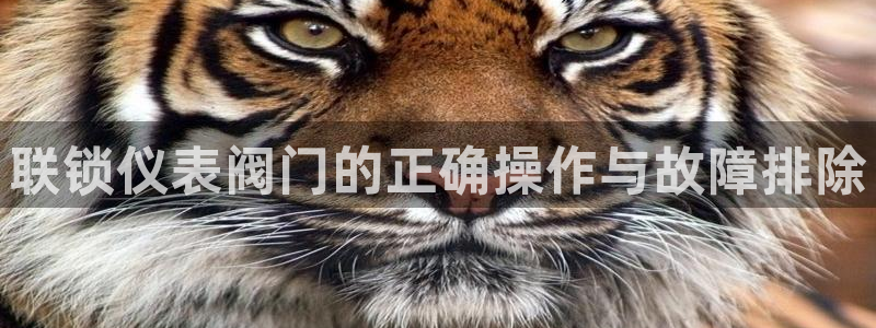 新宝gg为什么没人管