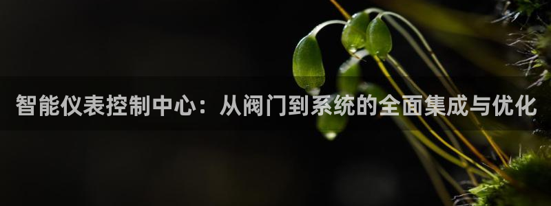 新宝gg网