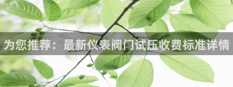重庆新宝gg