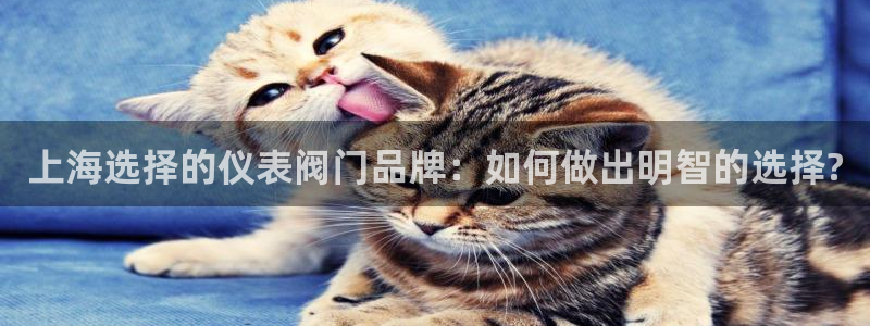 新宝gg招商42873