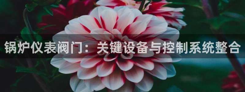 新宝GG创造奇