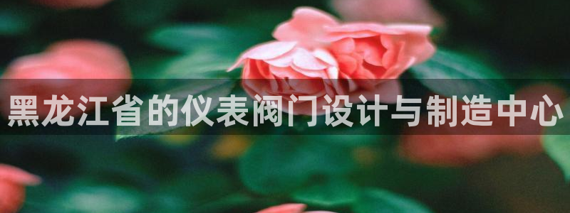 新 宝gg