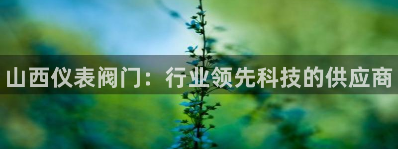 新宝gg下载