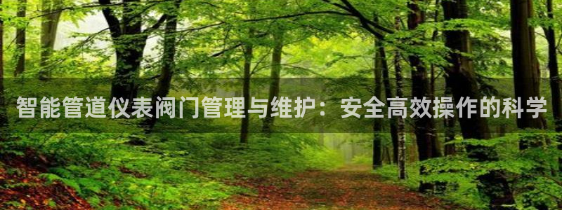 新宝gg-创业奇迹
