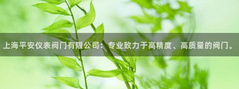 新宝gg软件