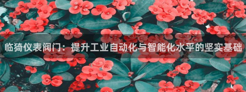新宝gg怎么样