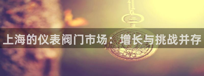 新宝gg手机登录官网