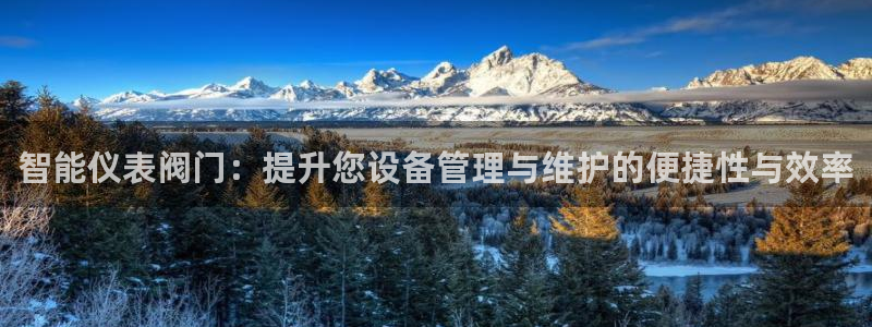 新宝GG于六七五一38