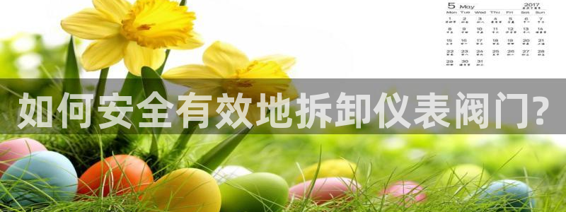 新宝gg登录链接