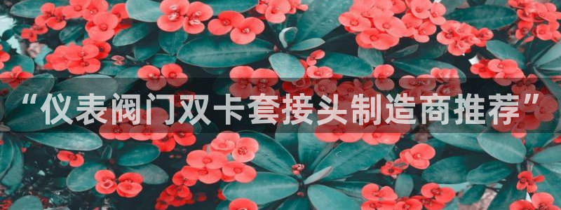 新宝gg有规律么