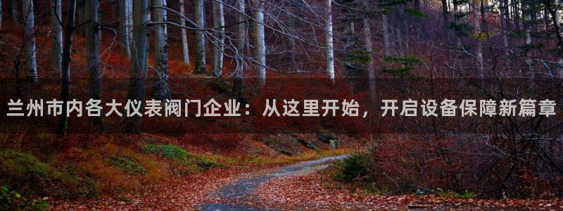 新宝gg如何注册登录