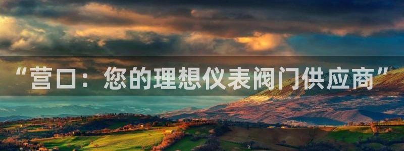 新宝gg平台登录