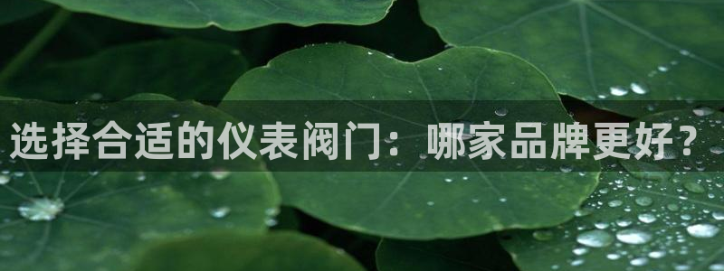 新宝gg在哪开户