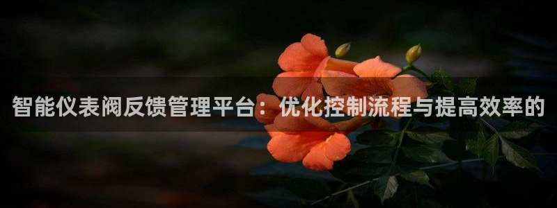 新宝gg娱乐平台