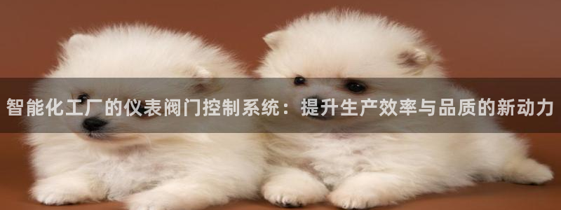 新宝gg登录网址