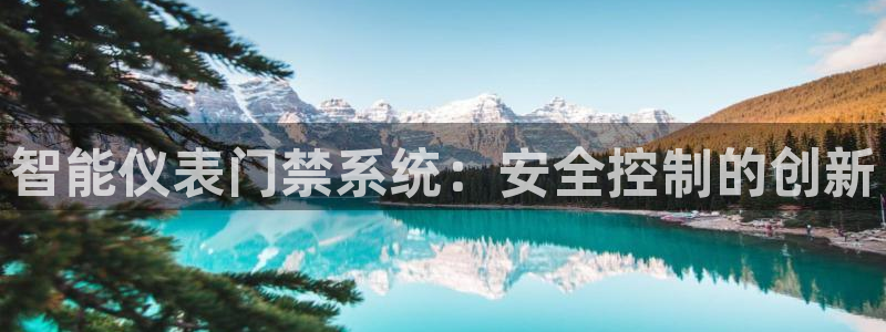 新宝gg手机版下载