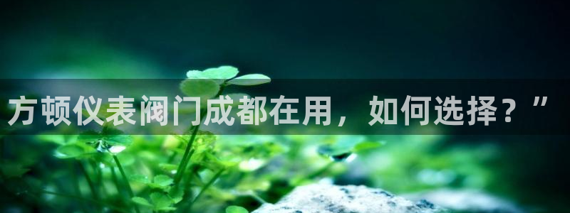 新宝gg最新章节