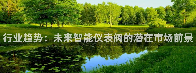 新宝六与新宝gg