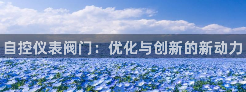 新宝gg 平台怎么样