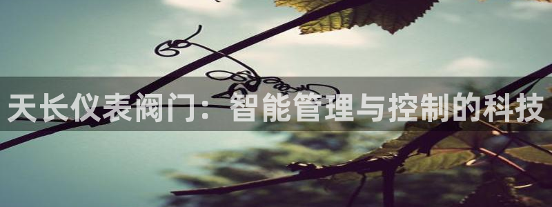 新宝gg测速登录