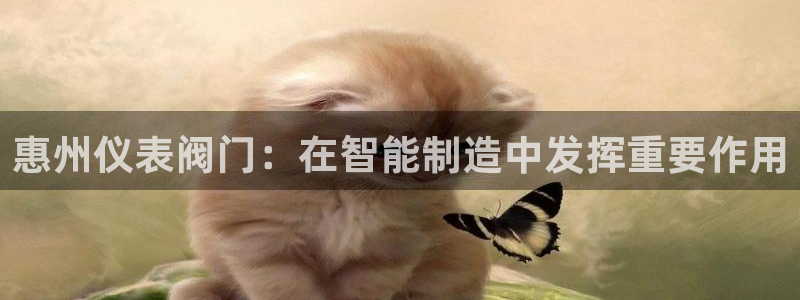 新宝GG网址新宝2