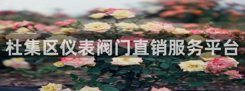 新宝gg平台怎么样