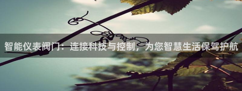 新宝gg 平台怎么样