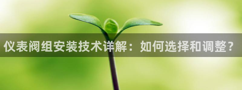 新宝gg注册平台